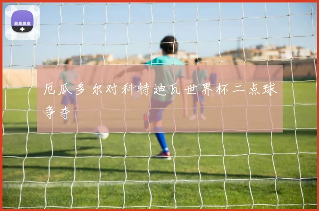 厄瓜多尔对科特迪瓦世界杯二点球争夺