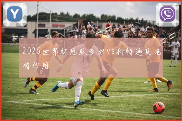 2026世界杯厄瓜多尔vs科特迪瓦老将作用
