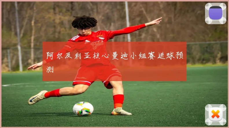 阿尔及利亚核心曼迪小组赛进球预测