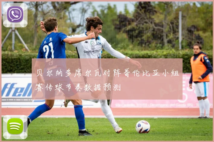 贝尔纳多席尔瓦对阵哥伦比亚小组赛传球节奏数据预测