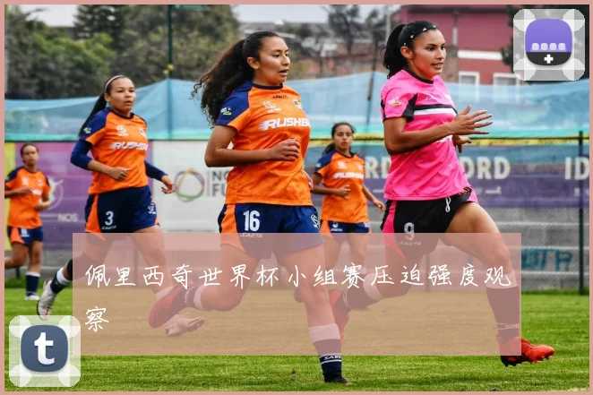 佩里西奇世界杯小组赛压迫强度观察