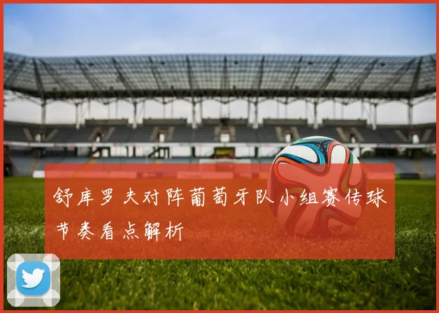 舒库罗夫对阵葡萄牙队小组赛传球节奏看点解析