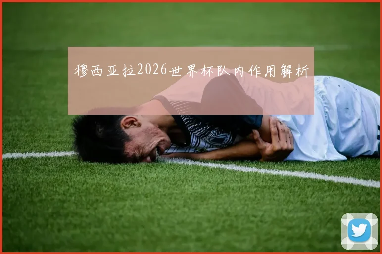 穆西亚拉2026世界杯队内作用解析