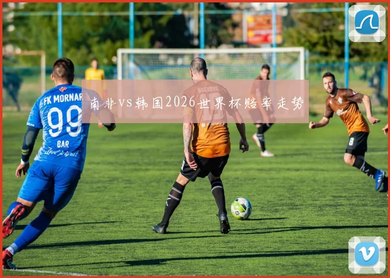 南非vs韩国2026世界杯赔率走势