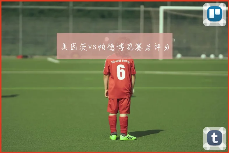 美因茨vs帕德博恩赛后评分